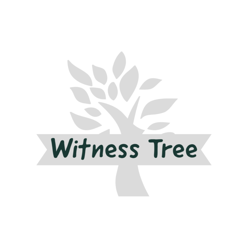 Witness Tree