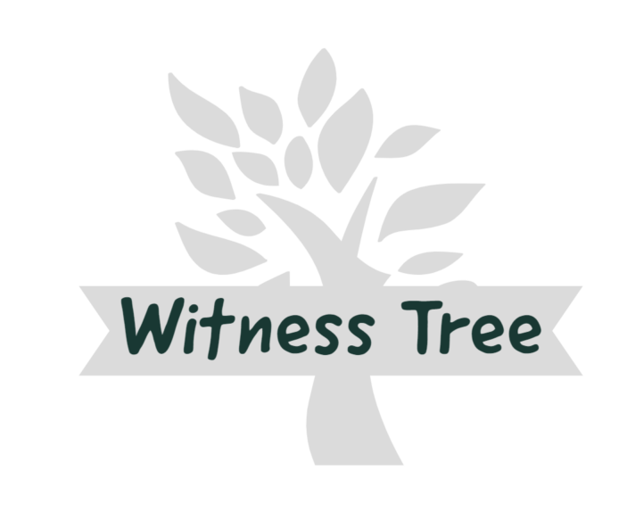 Witness Tree