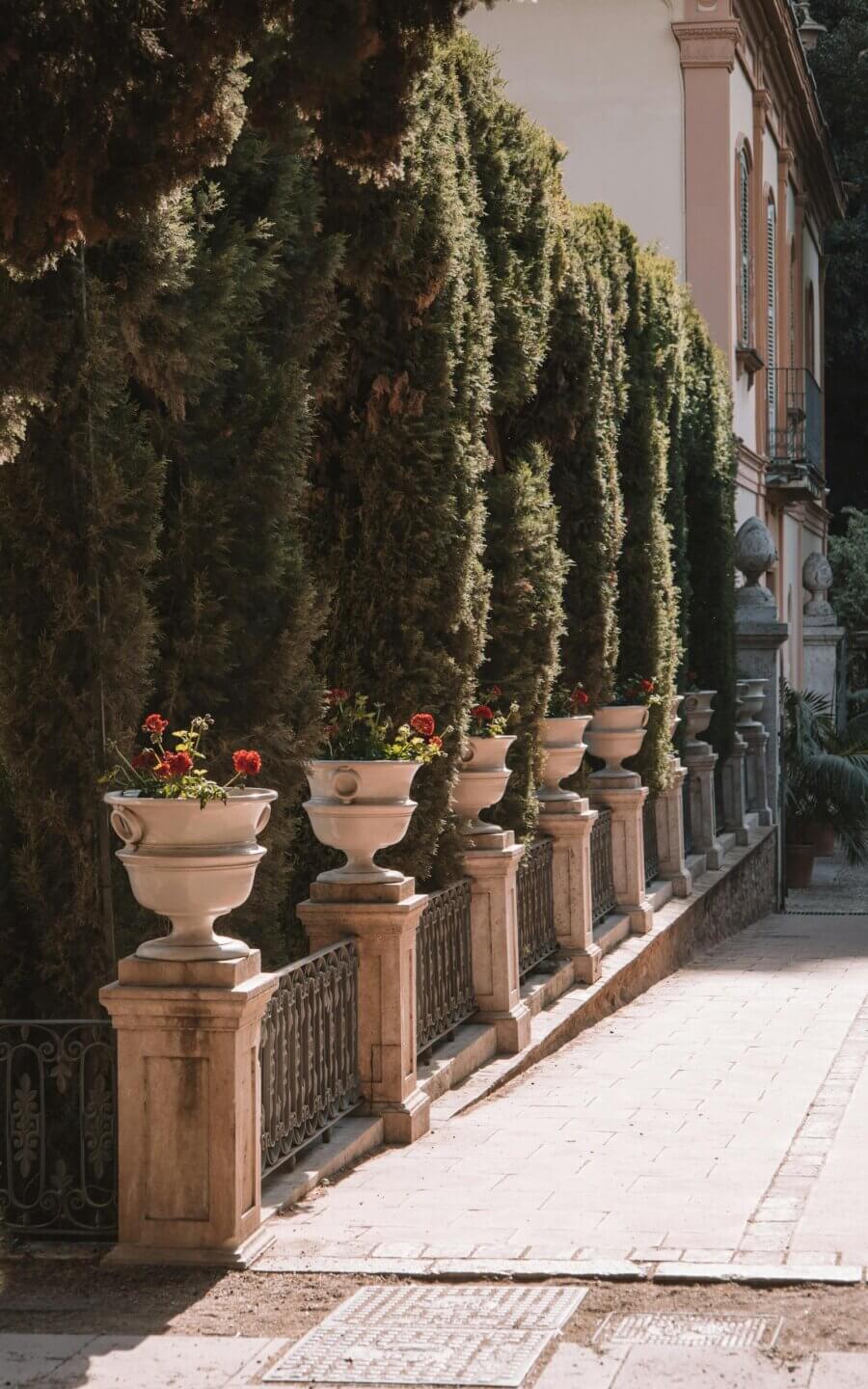 Beautiful garden in Valencia featuring thujas, flowerpots, and a classic fence in sunlight.
